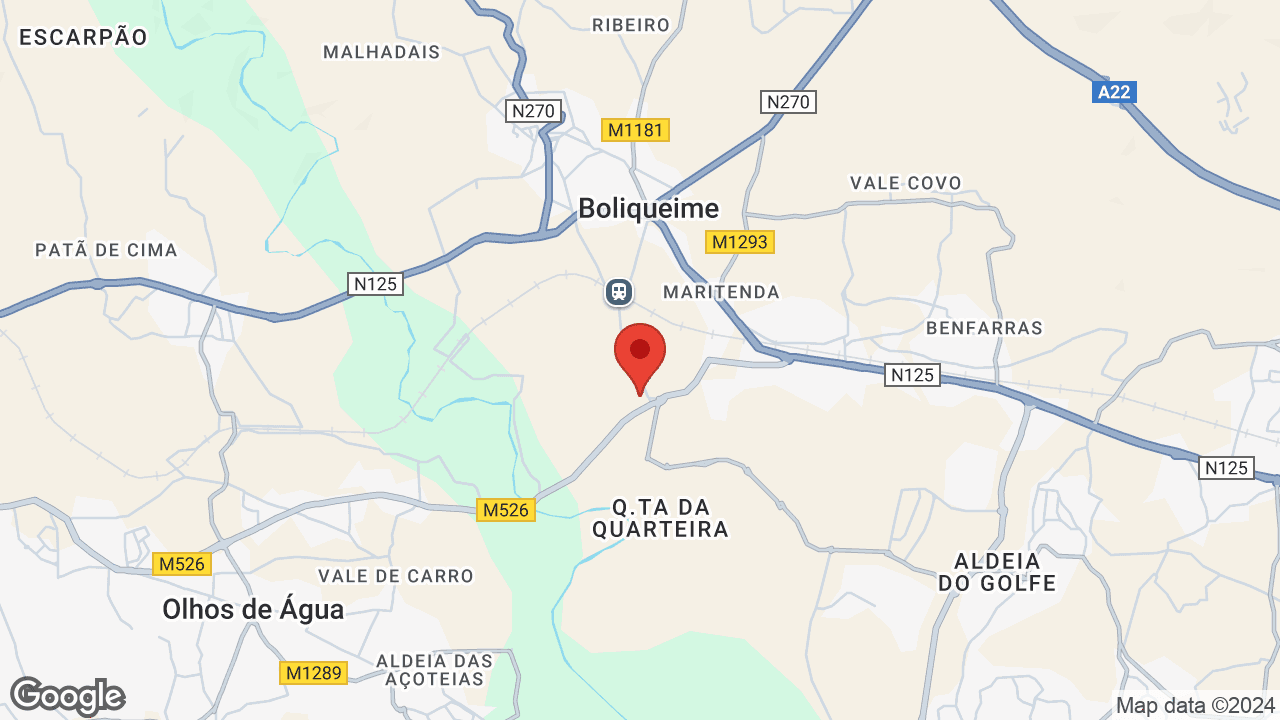 Google map