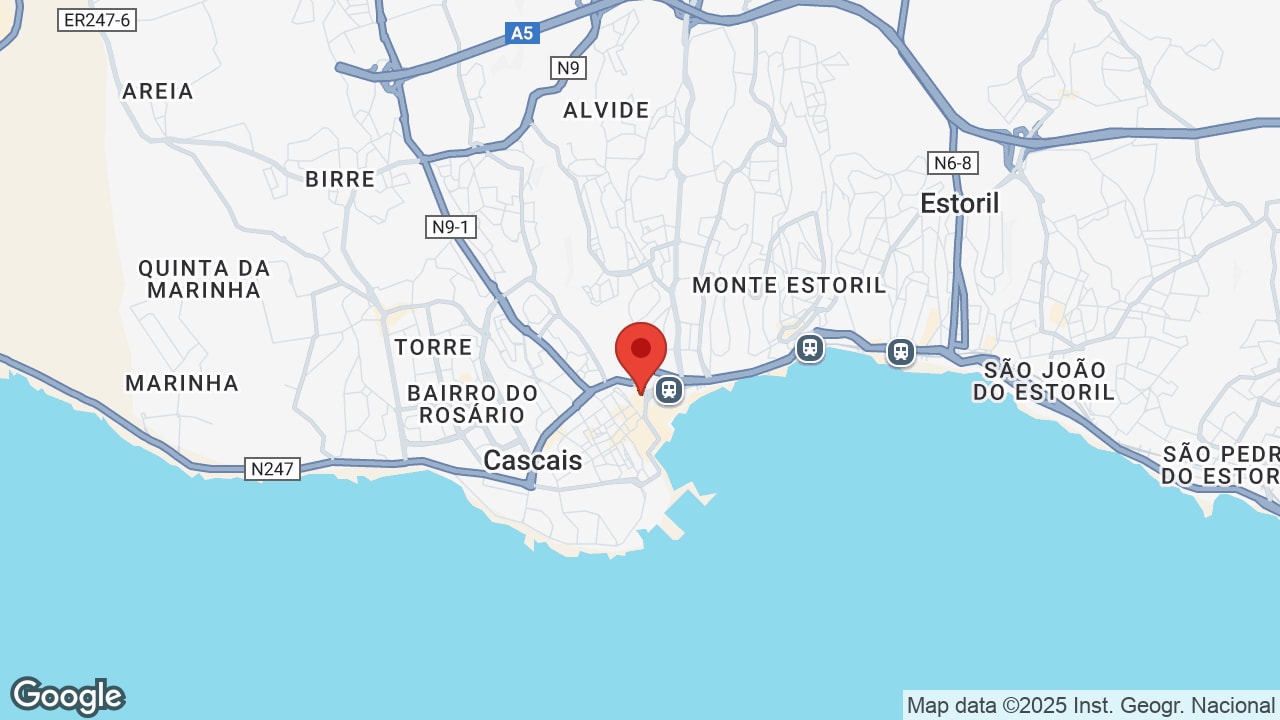 Google map