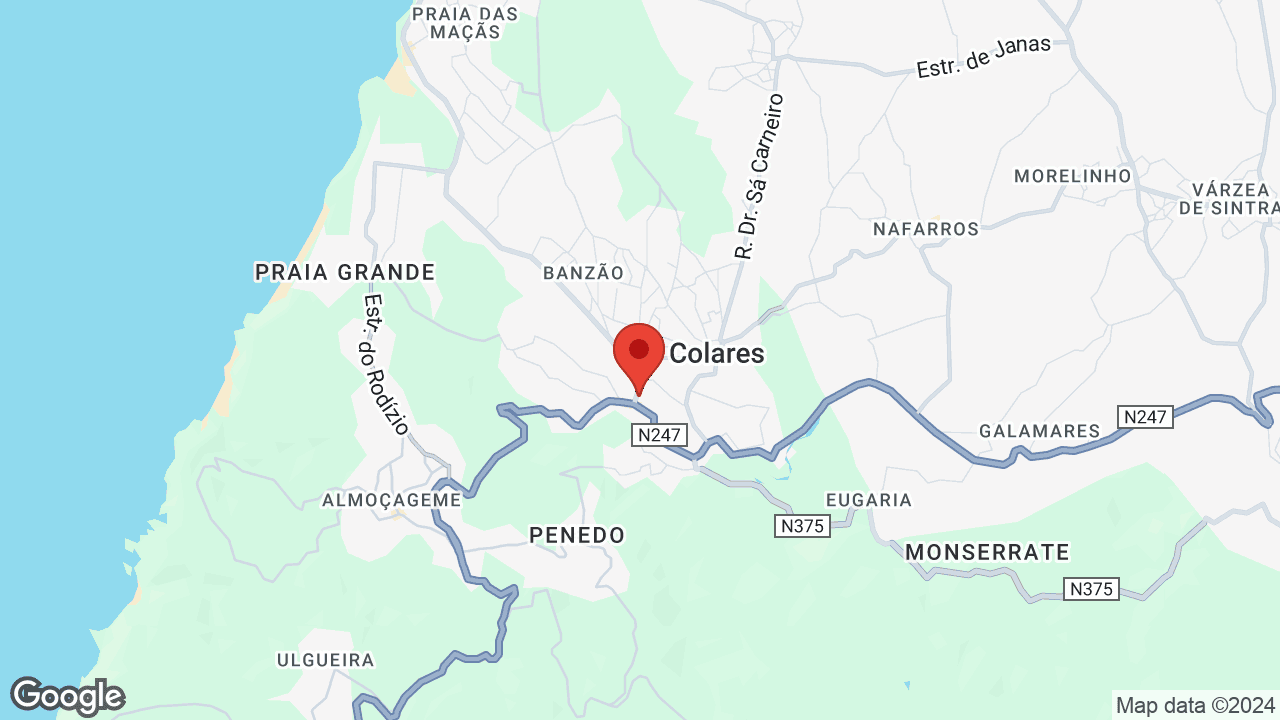 Google map