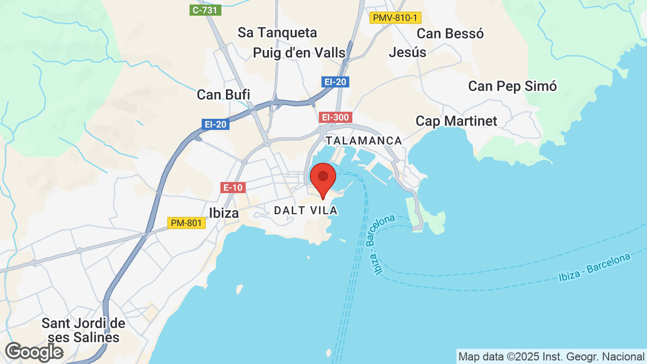 Google map
