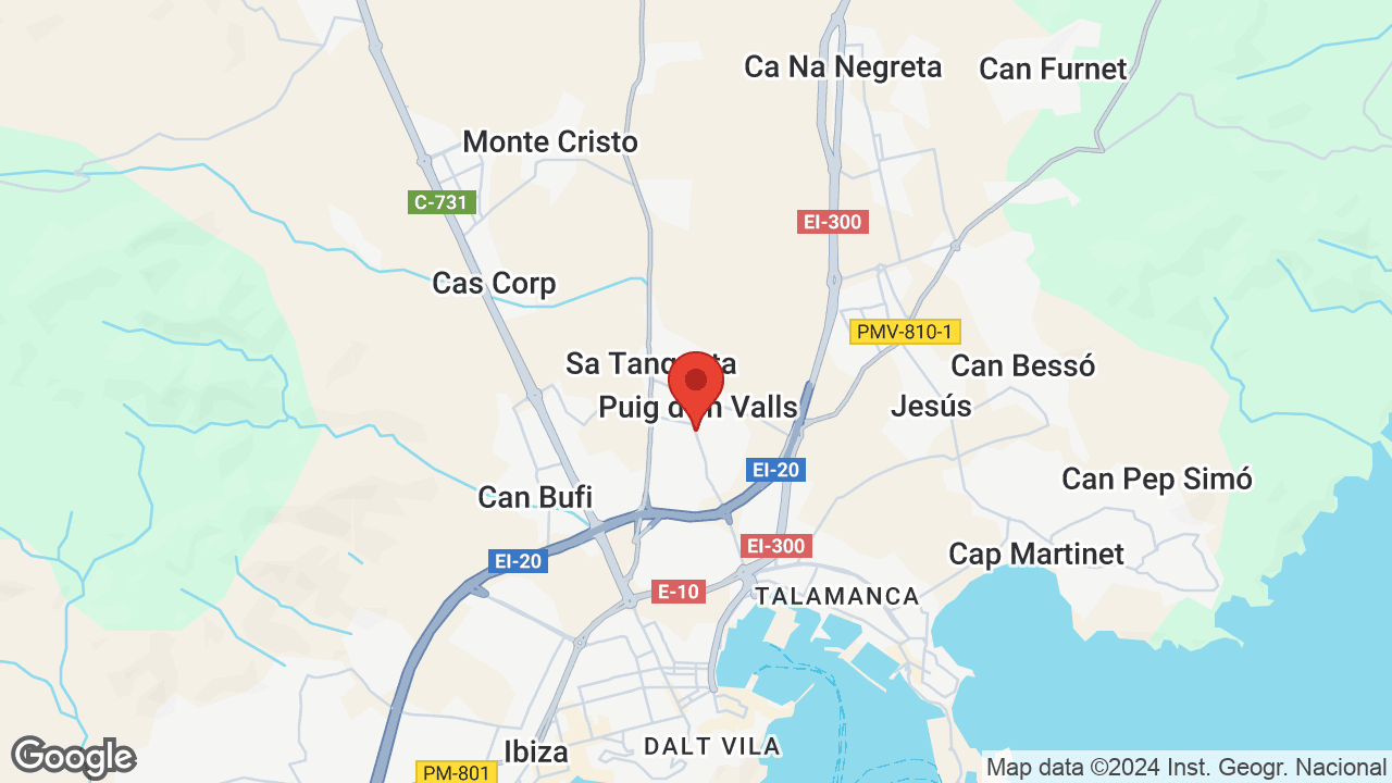 Google map