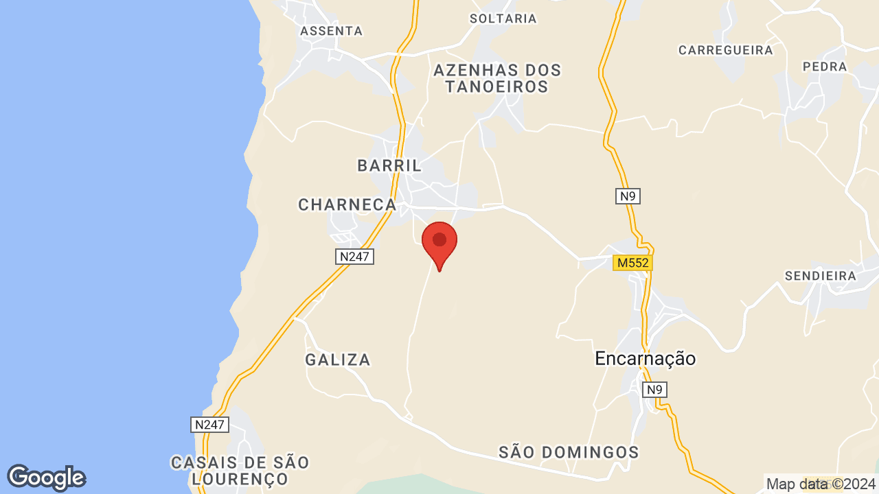 Google map