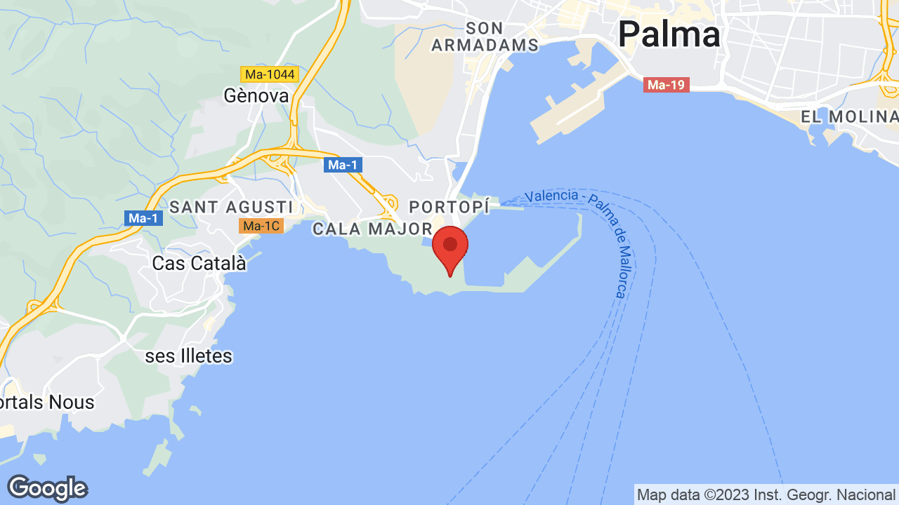 Google map