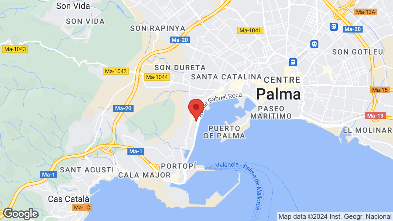 Google map