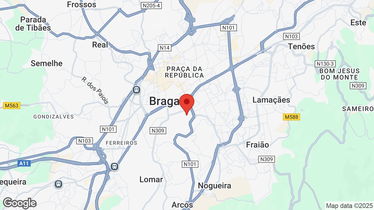 Google map