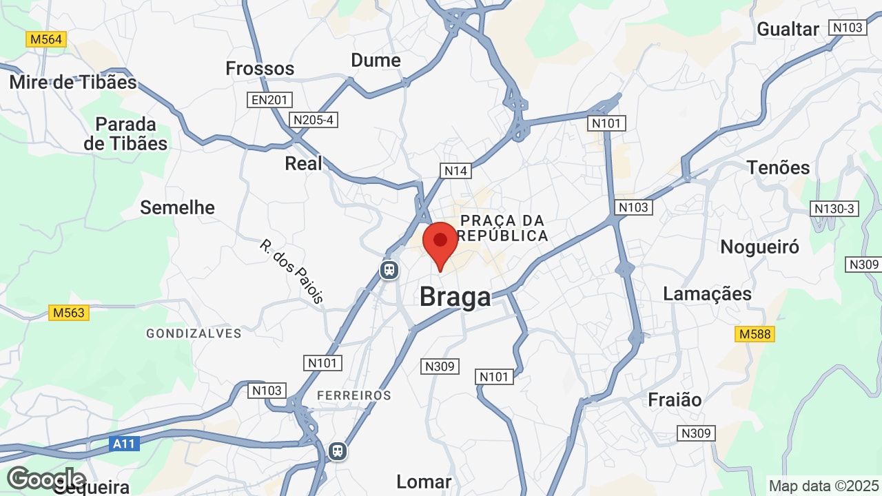 Google map