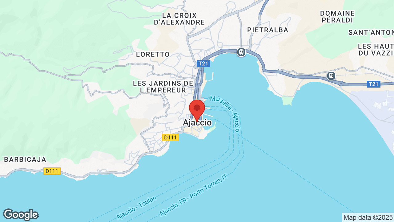 Google map