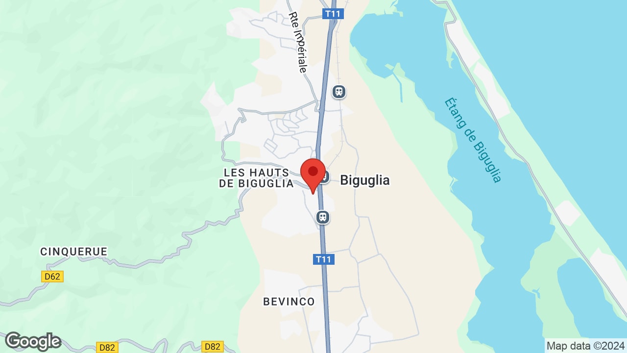 Google map