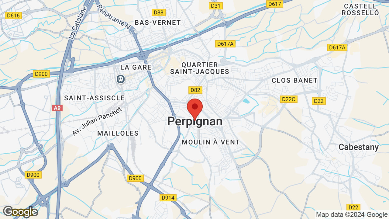 Google map