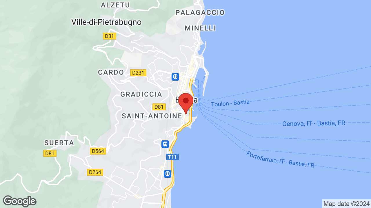 Google map