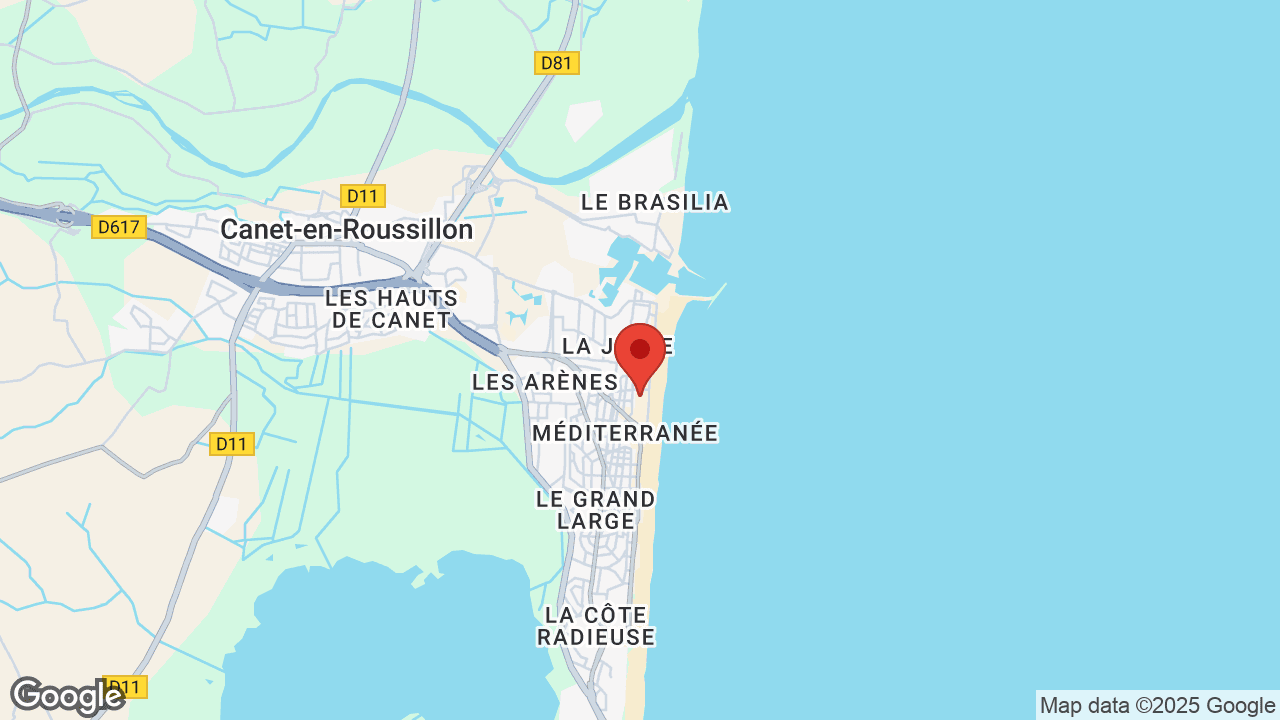 Google map