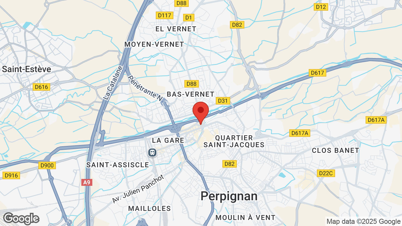 Google map