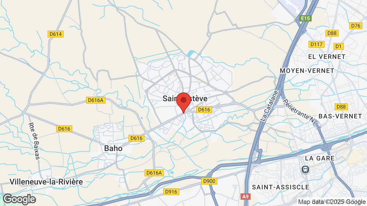 Google map