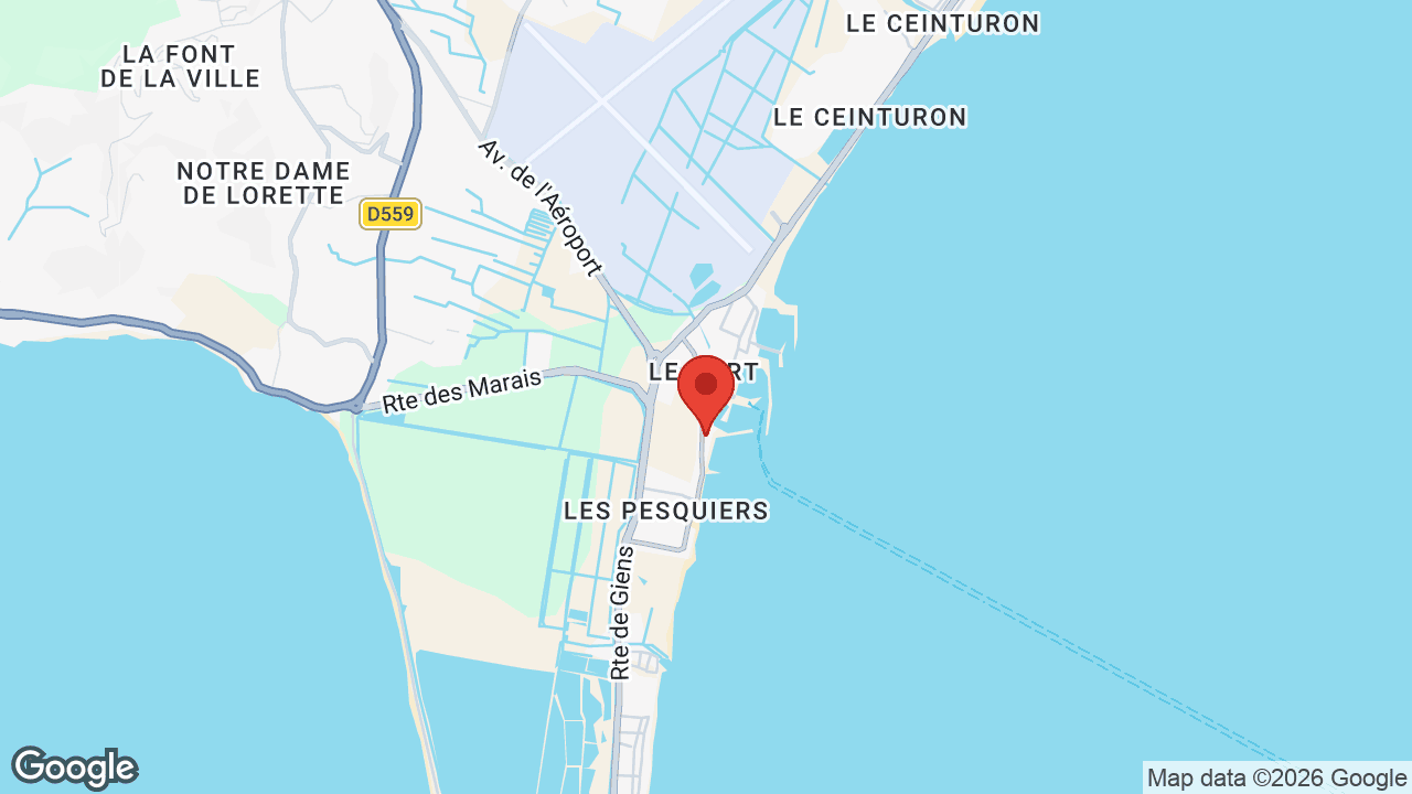 Google map
