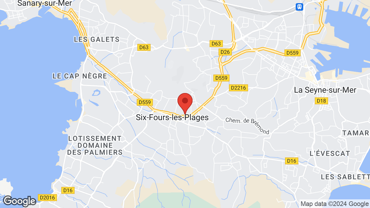 Google map