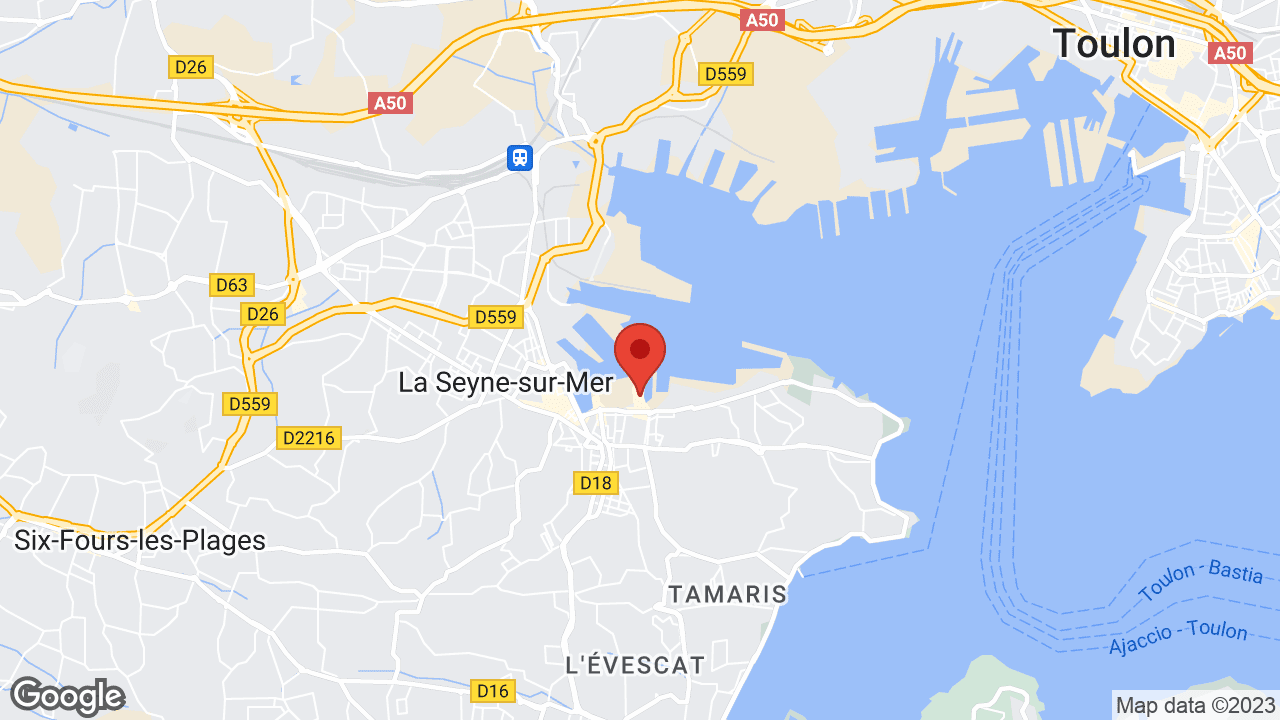 Google map