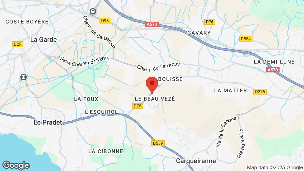 Google map