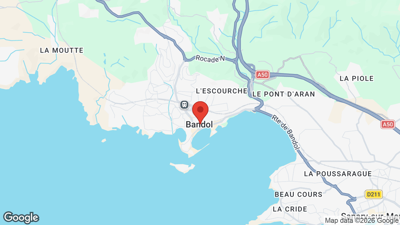 Google map