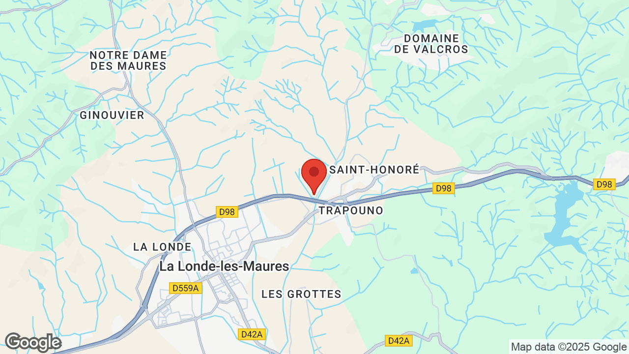 Google map