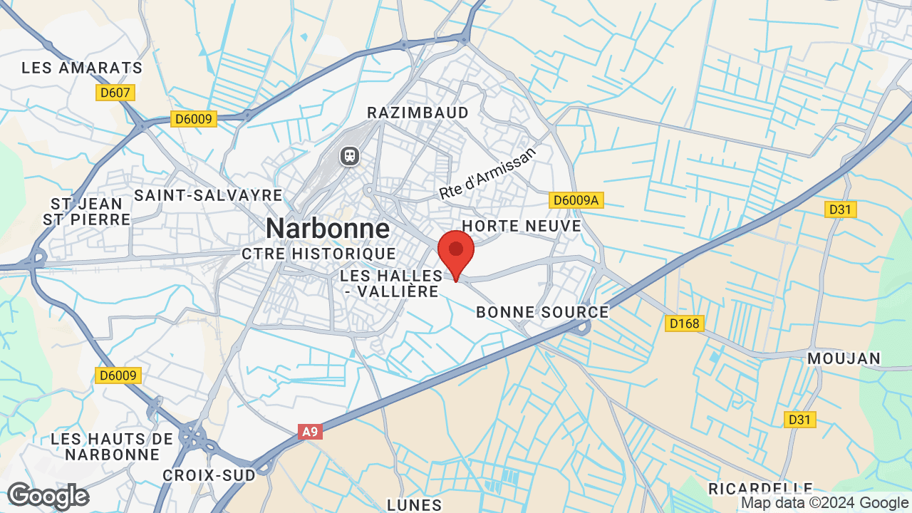 Google map