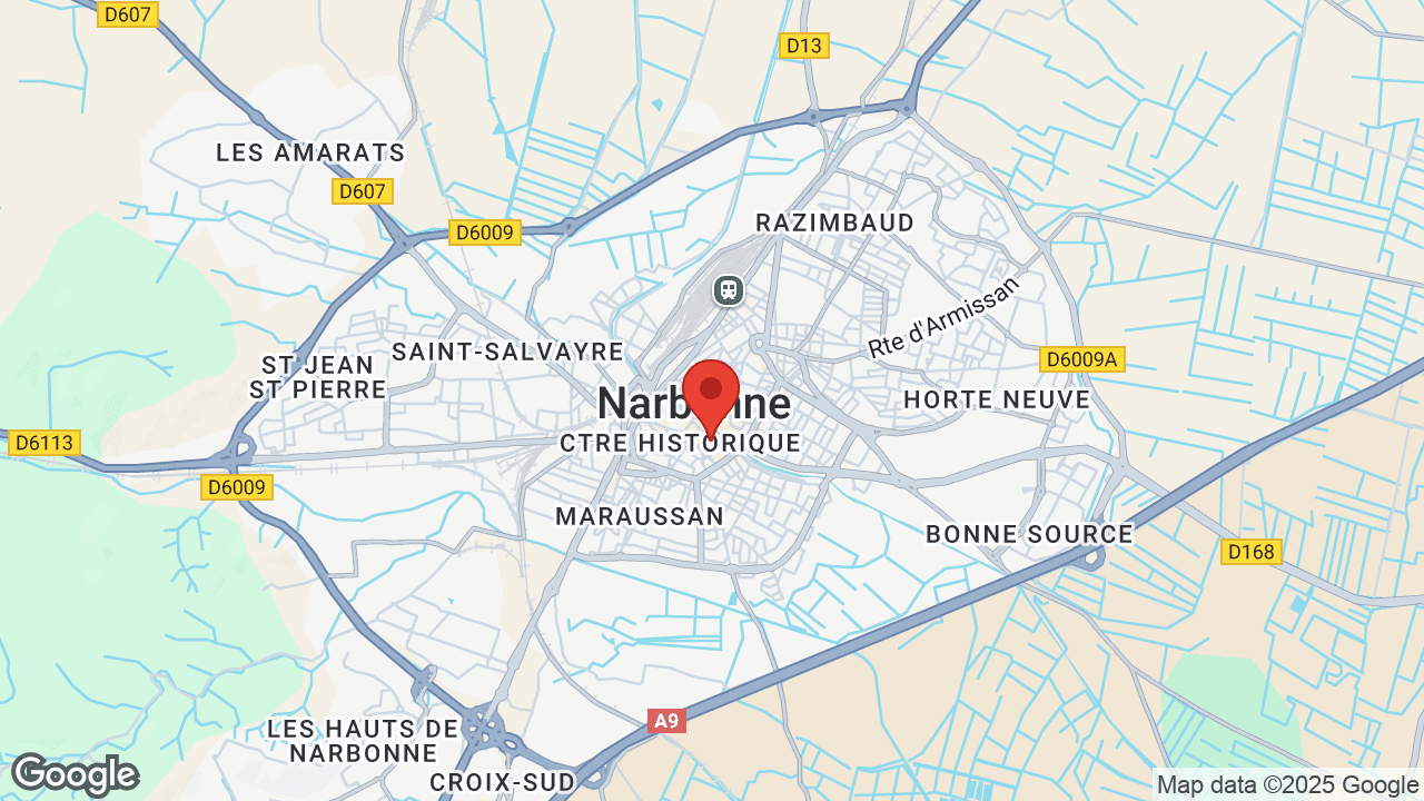 Google map
