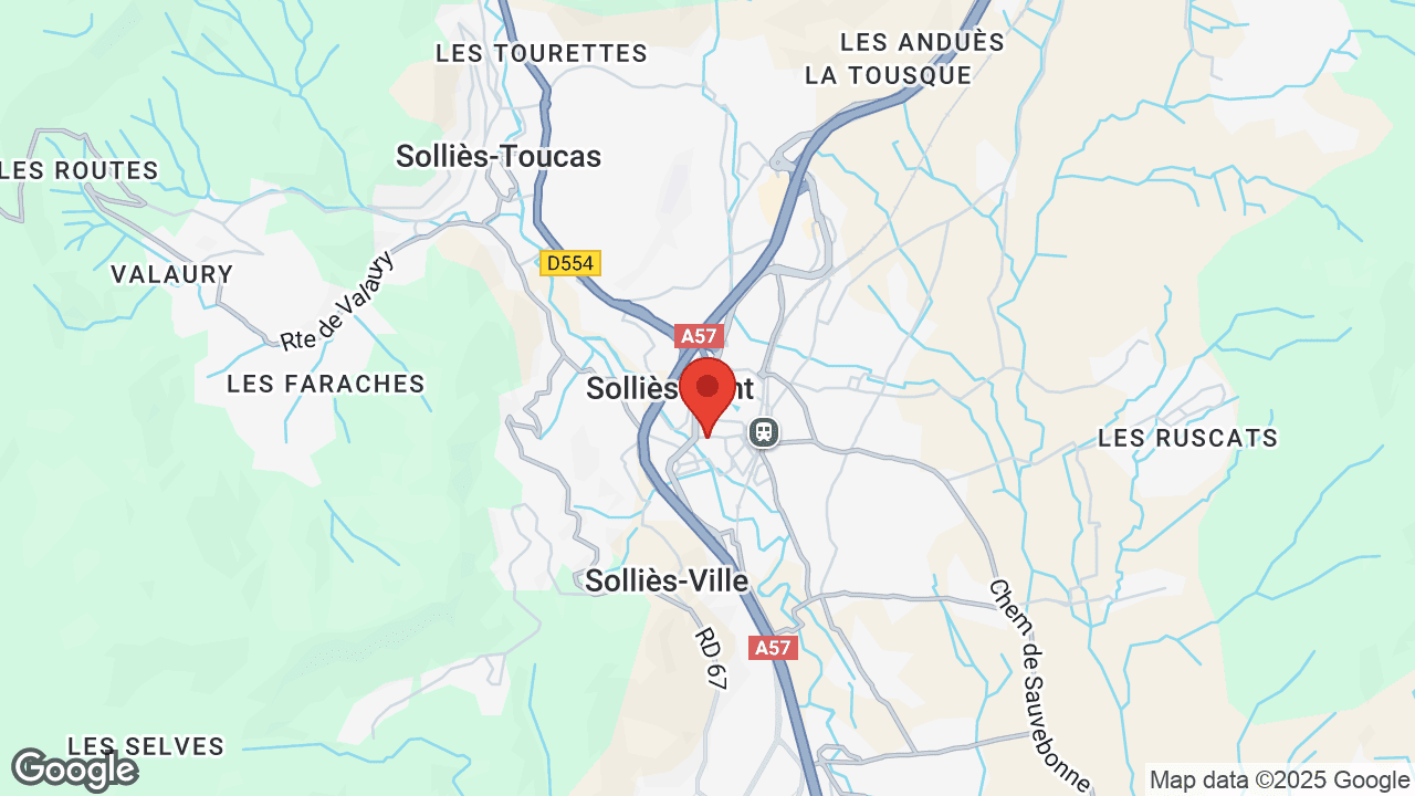 Google map