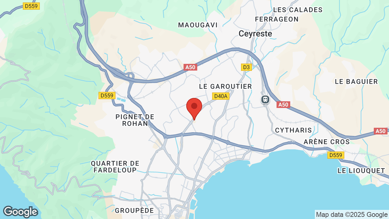 Google map