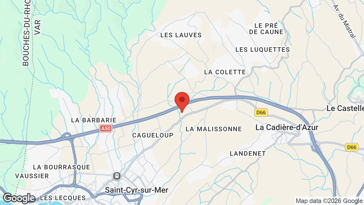 Google map