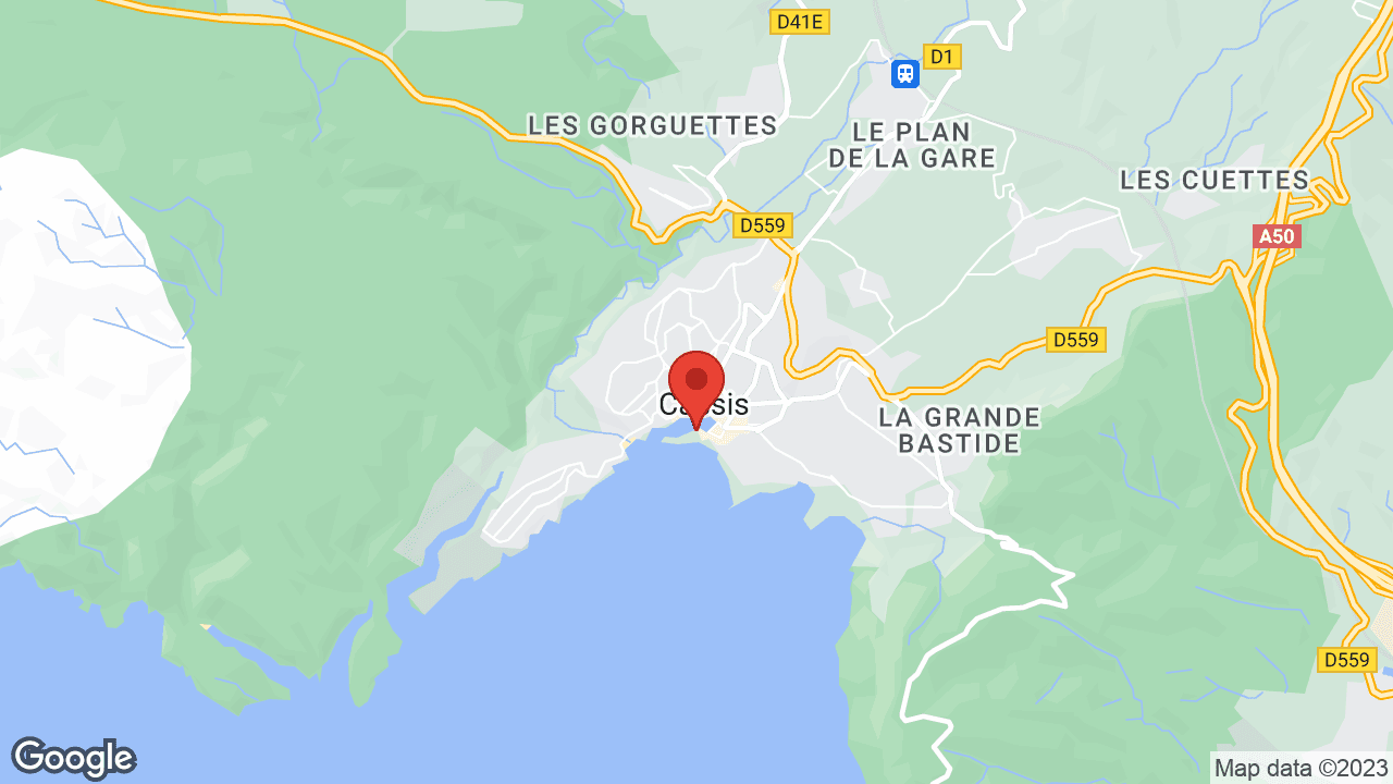Google map