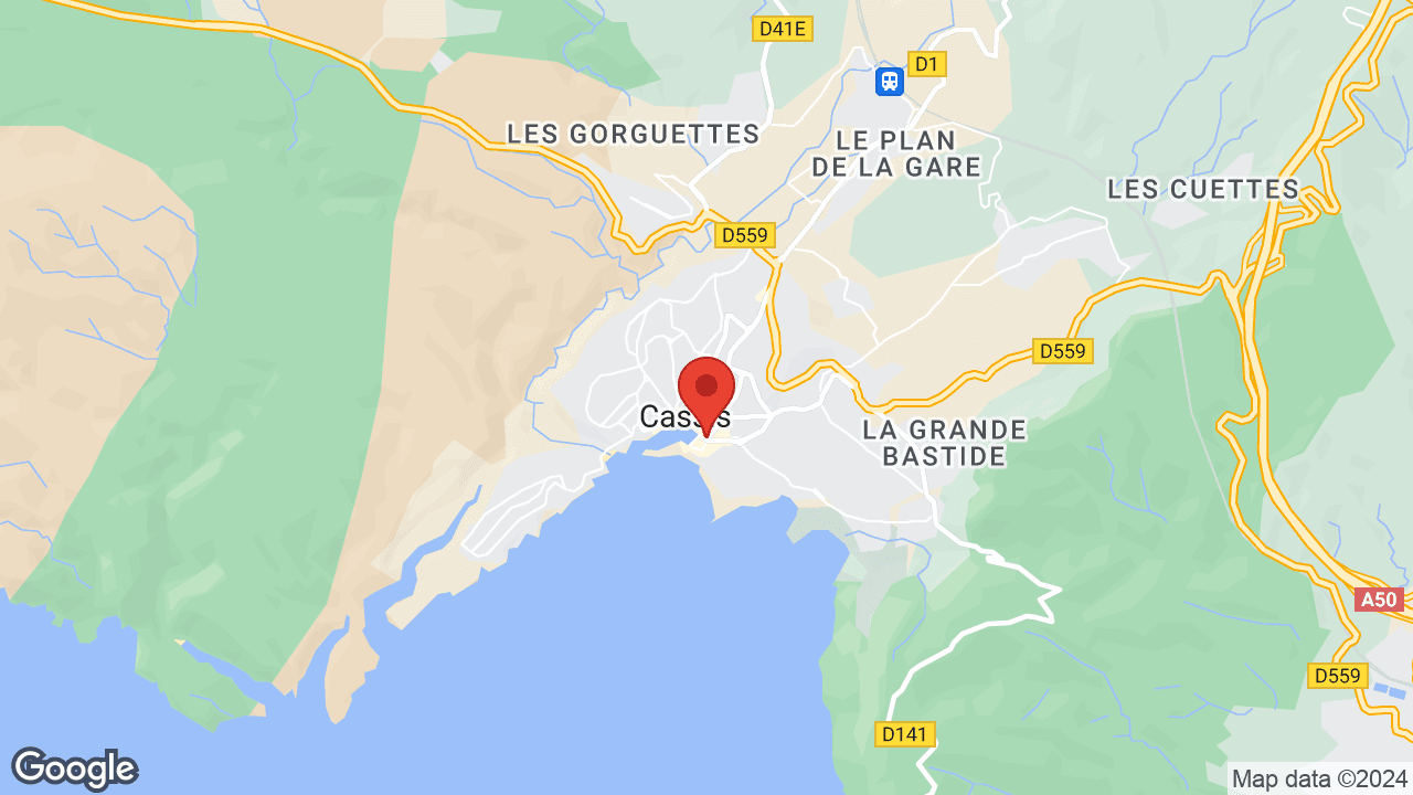 Google map