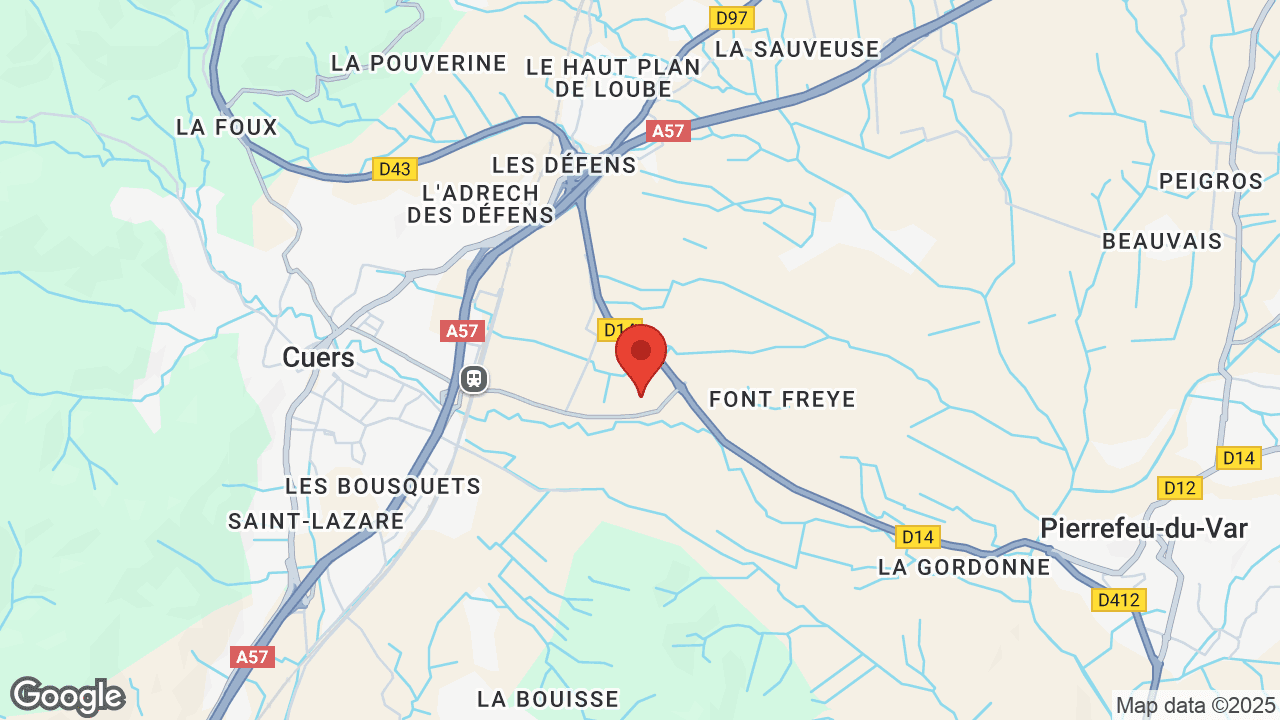 Google map