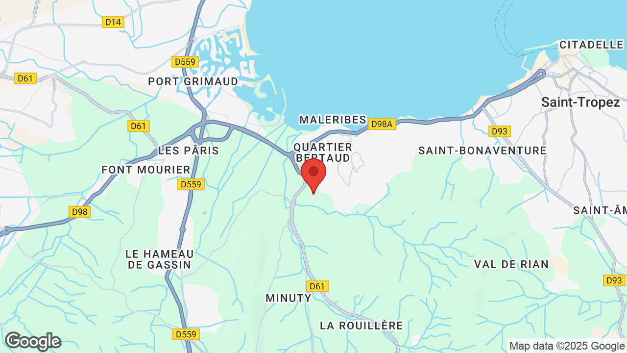 Google map