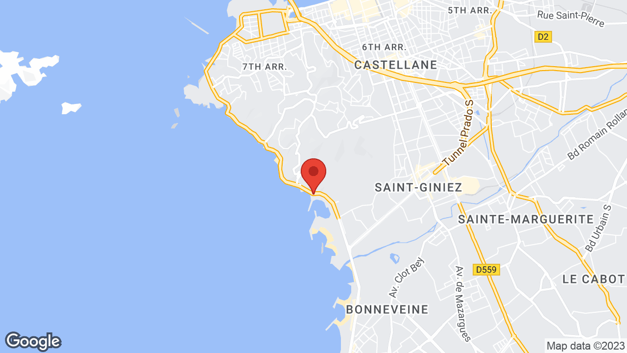 Google map
