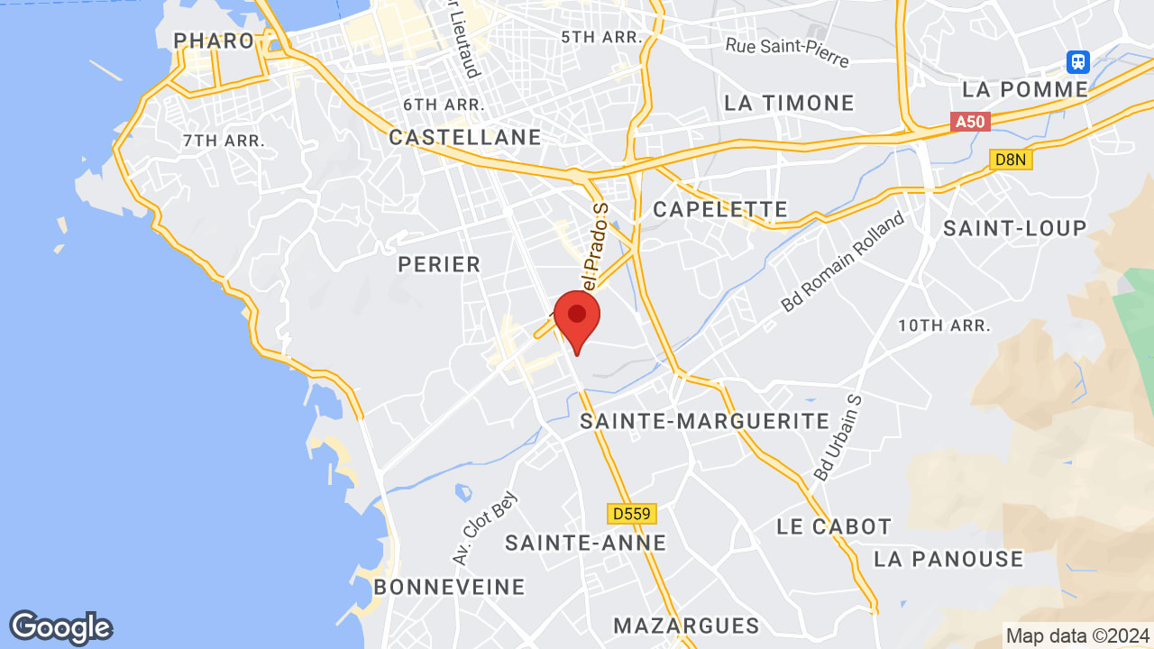 Google map