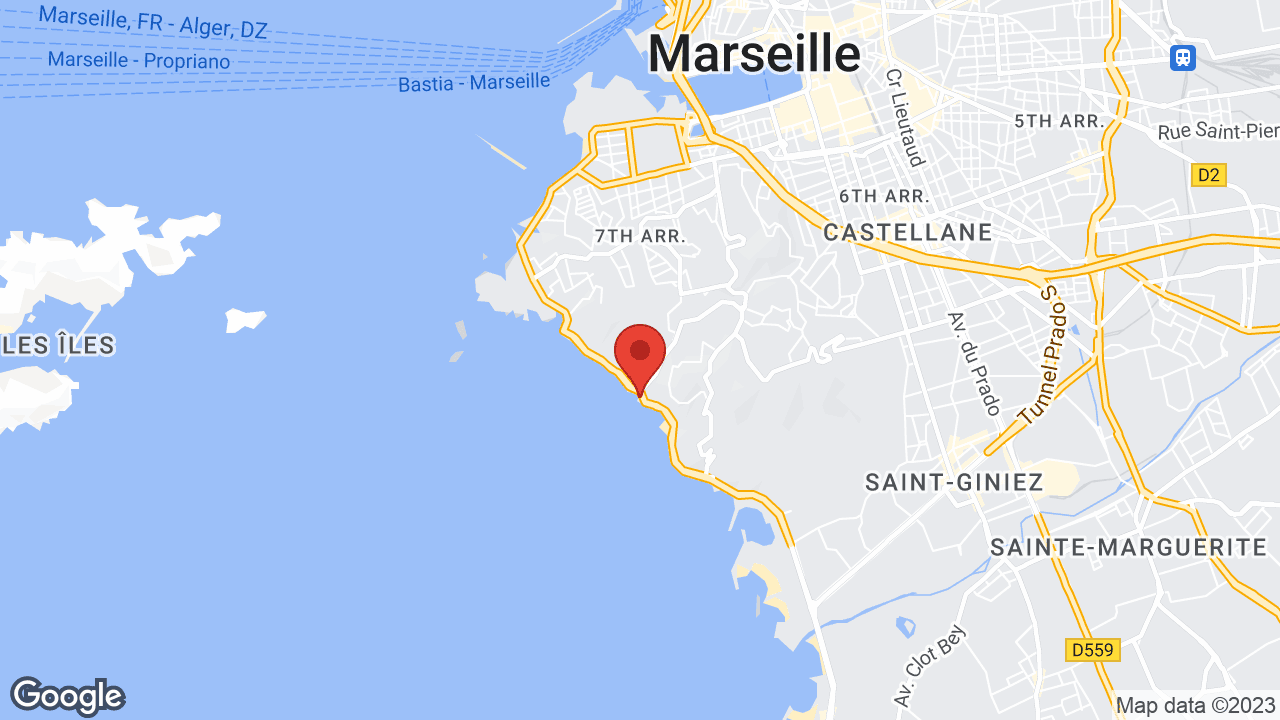 Google map