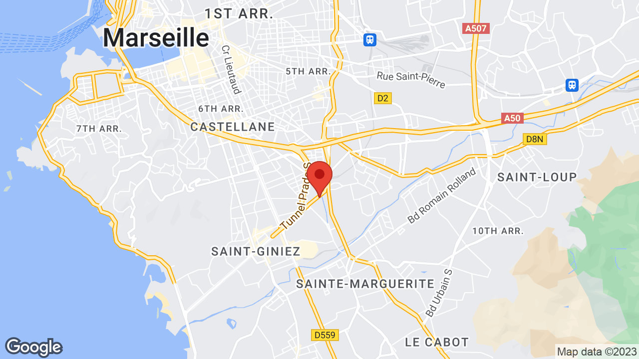 Google map