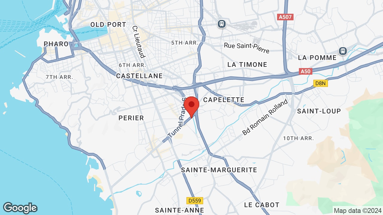Google map