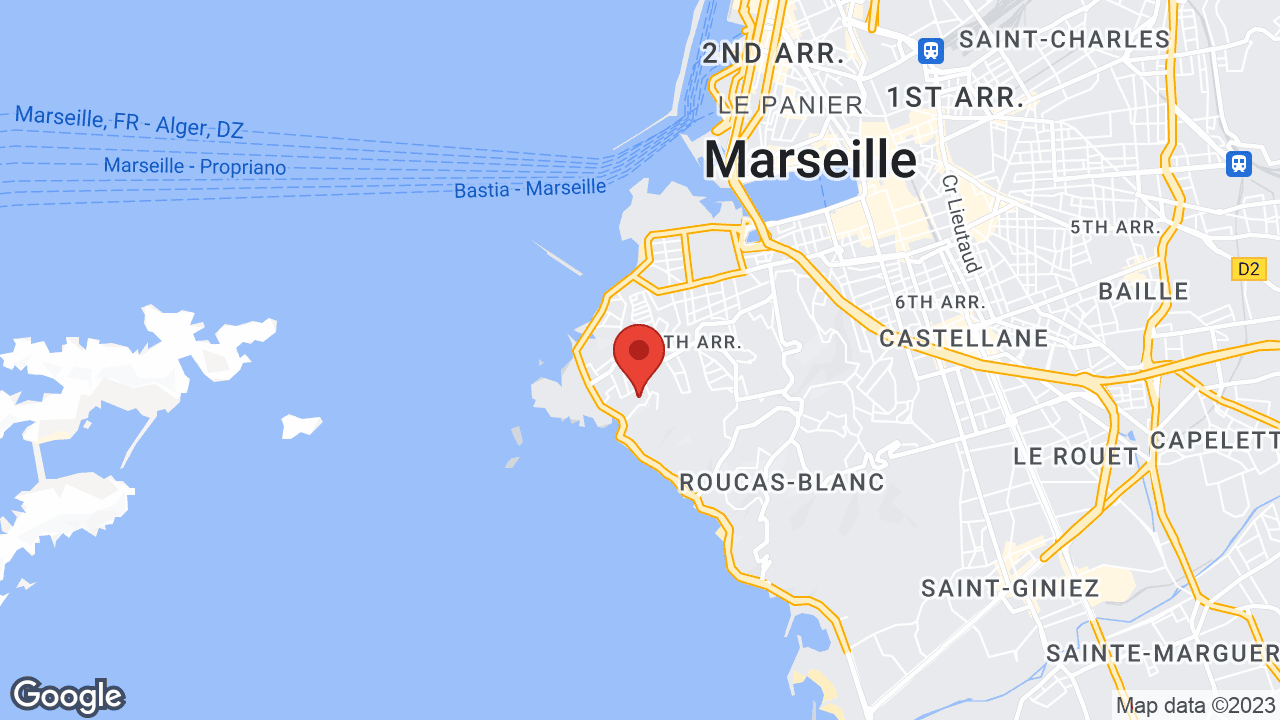 Google map