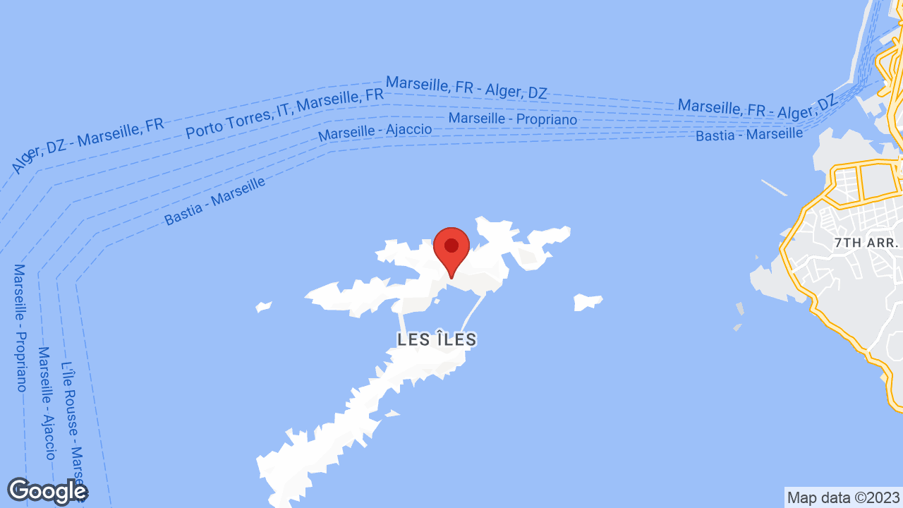 Google map