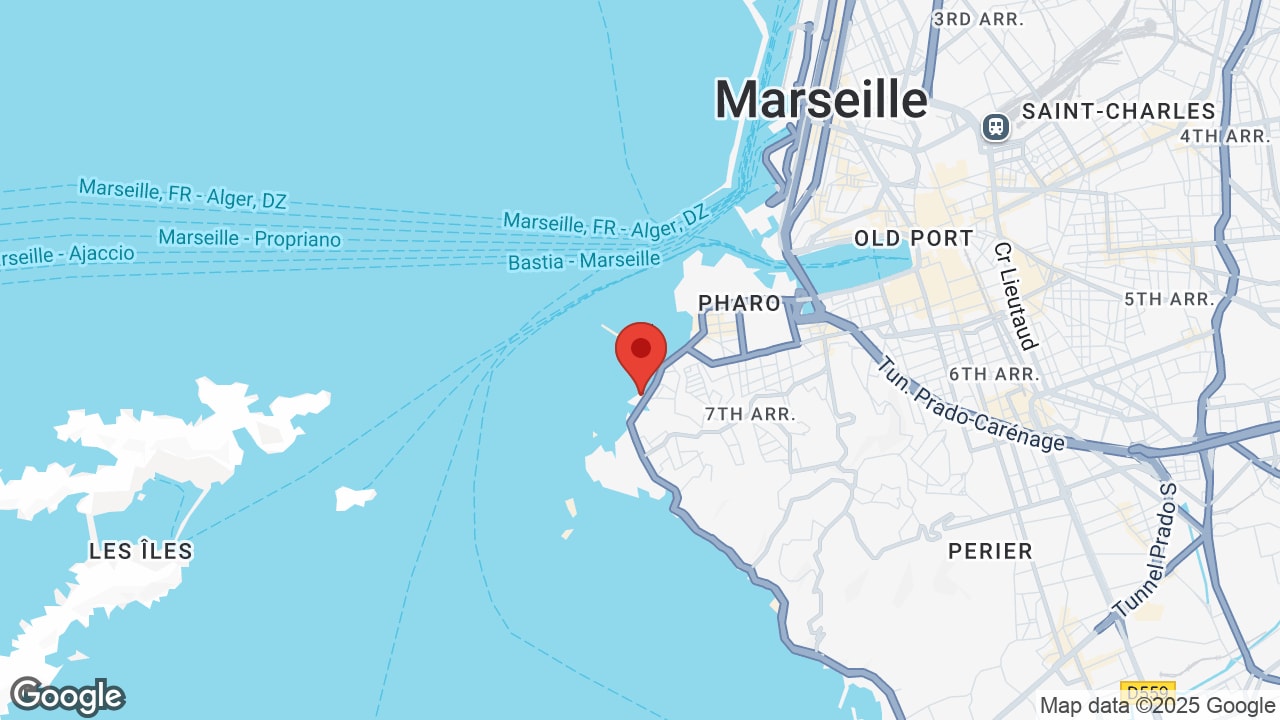 Google map