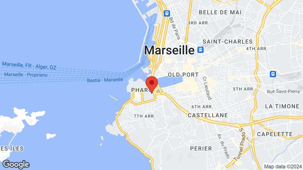 Google map