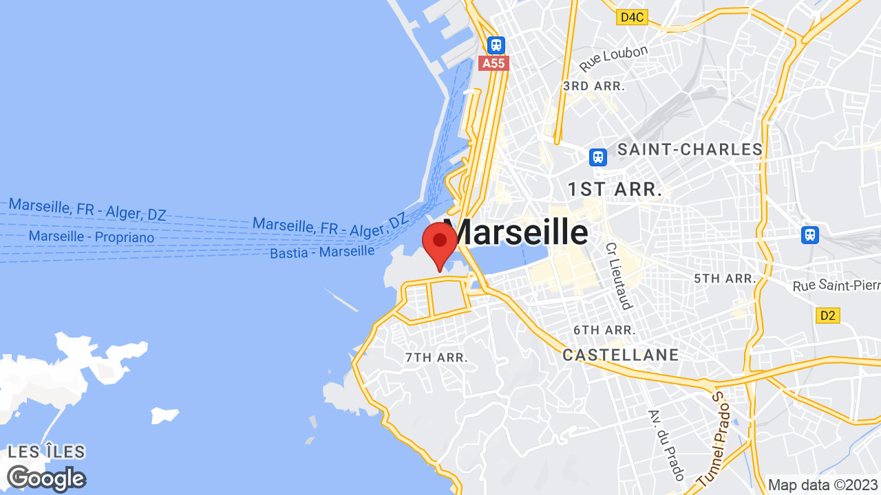 Google map