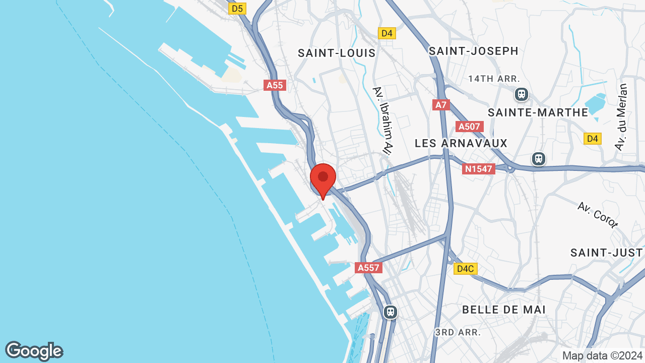 Google map