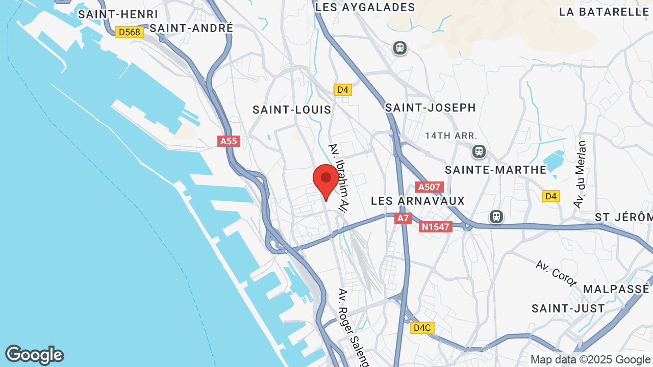 Google map