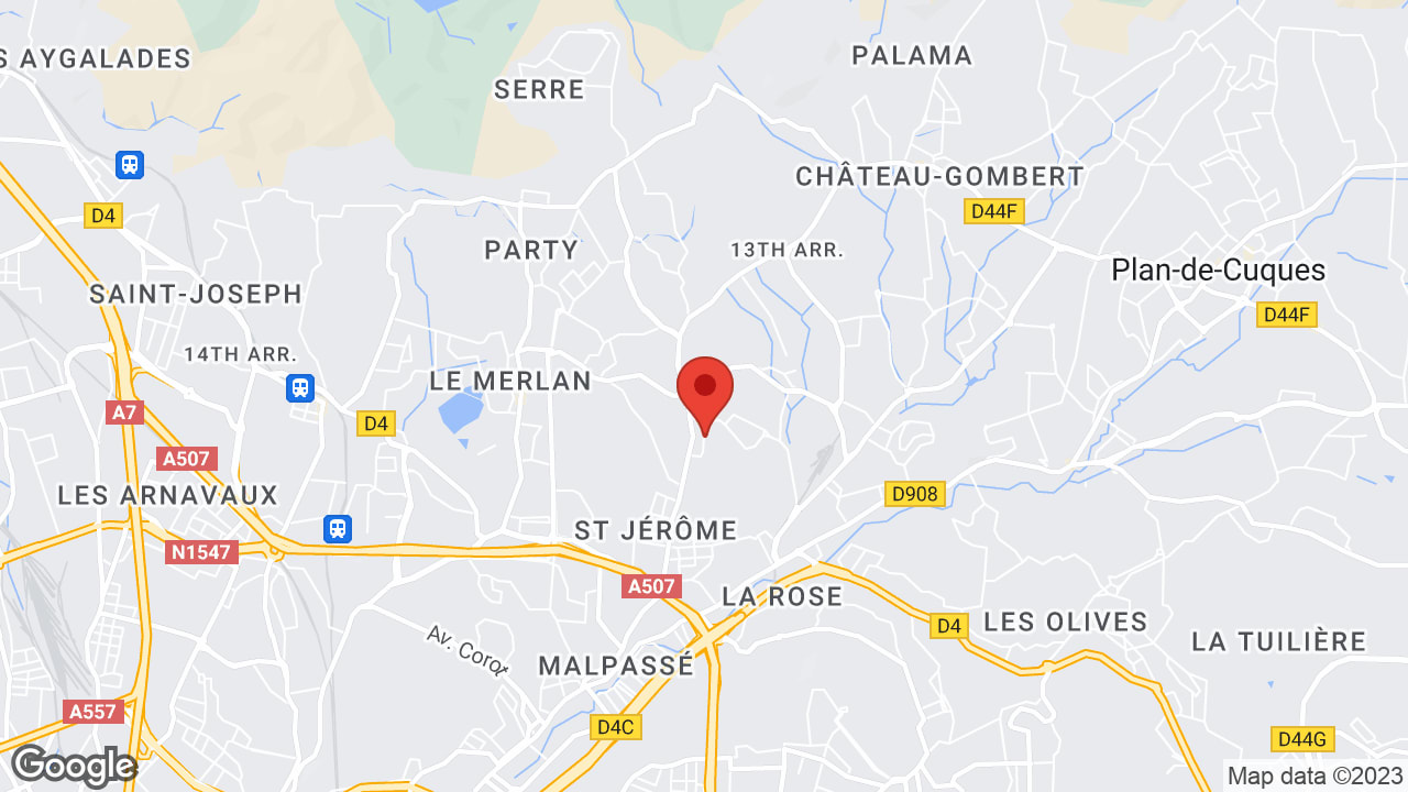 Google map