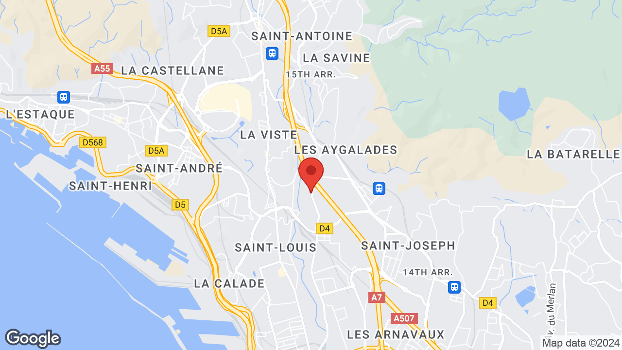 Google map