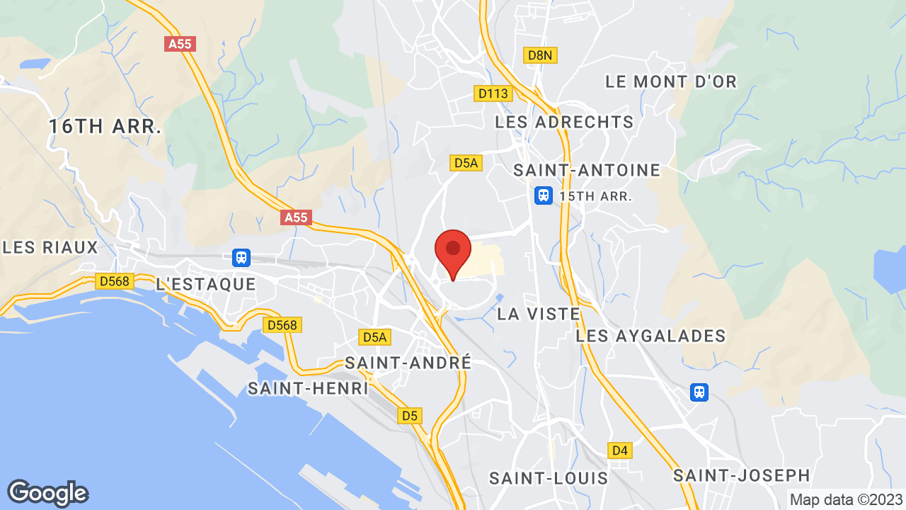 Google map