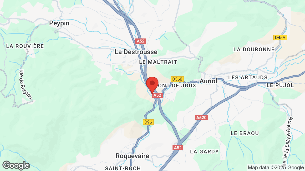 Google map