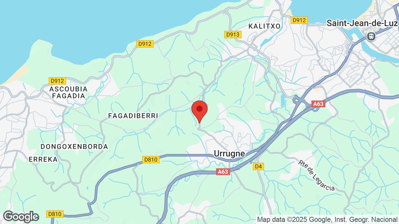 Google map