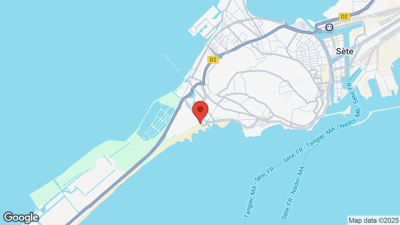 Google map